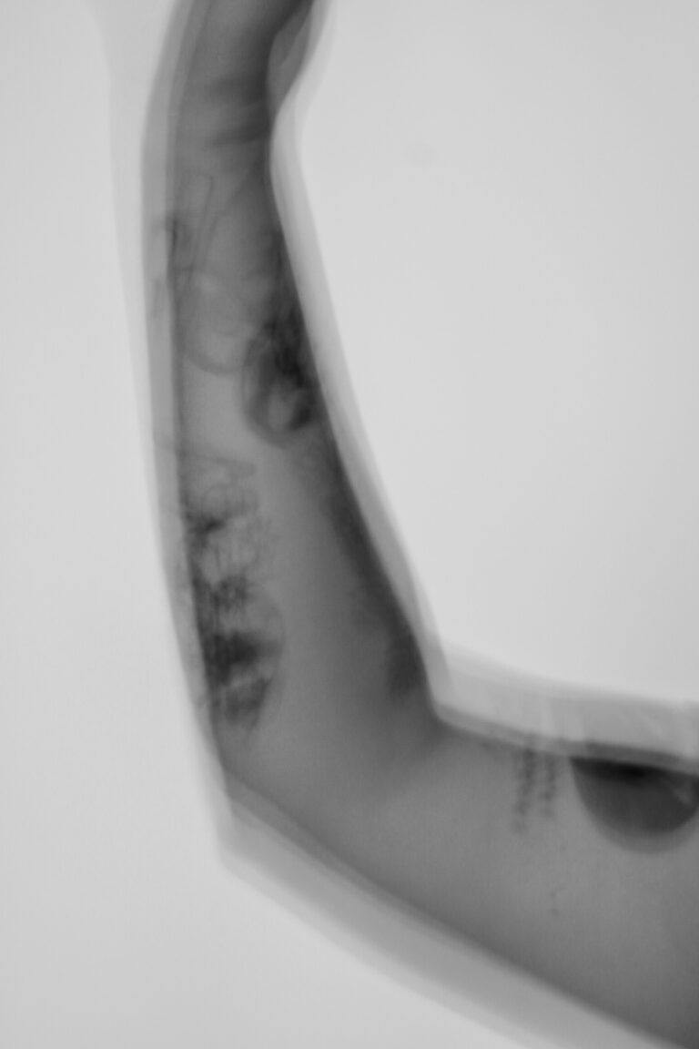 Memòria, Amor, 2026. by Laia Gázquez, exhibited at Aurea Photo Gallery.