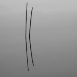 Blades of Grass. by Vivek Vaishnavi, exhibited at Aurea Photo Gallery.