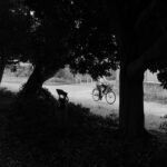 Uncrossed Paths, 2026. by Yosuke, exhibited at Aurea Photo Gallery.
