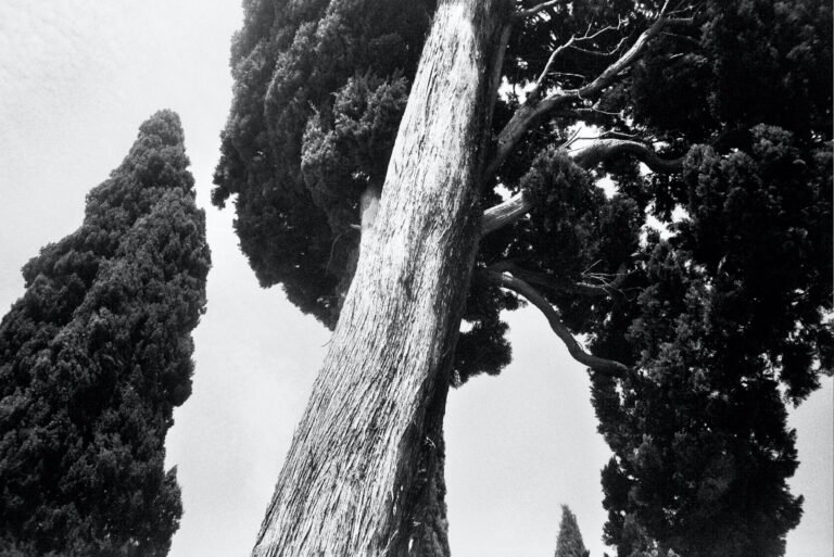 Patience I Find Lonely, 2026. by Riley Jones, exhibited at Aurea Photo Gallery.
