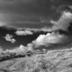 In Desert Silence One. by Dragomir Vukovic, exhibited at Aurea Photo Gallery.
