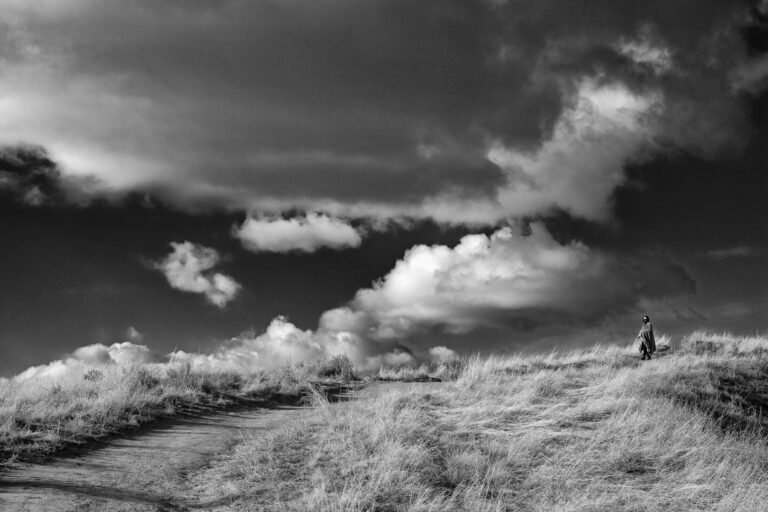 In Desert Silence One (digital) by Dragon, exhibited at Aurea Photo Gallery.