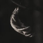 Quiet Curve, 2026. by Fedor Ushakov, exhibited at Aurea Photo Gallery.