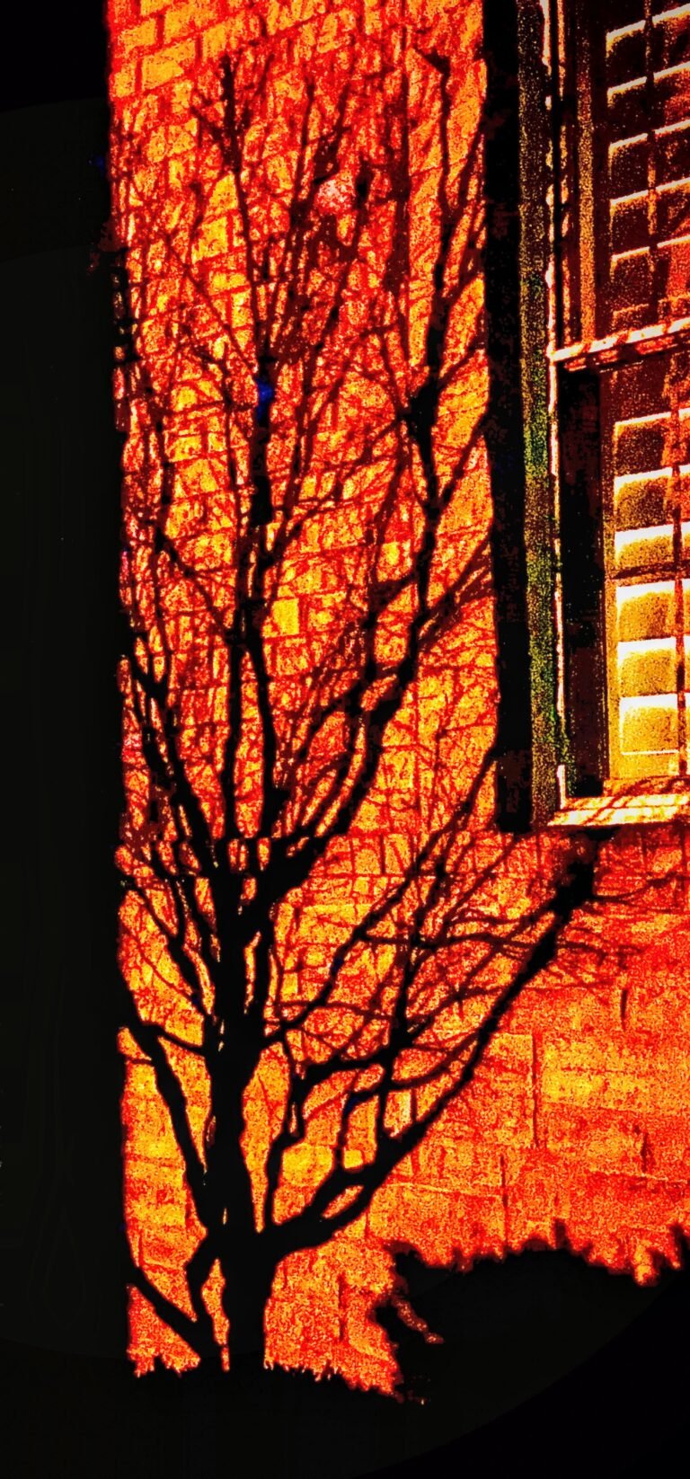 Shadows on The Brick Home, 2022. by Michael Watz, exhibited at Aurea Photo Gallery.