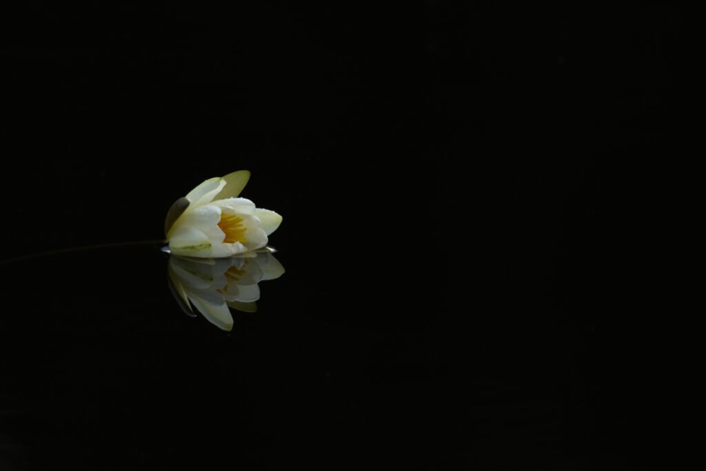 Conversations with Stillness - IV. by Vivek Vaishnavi, exhibited at Aurea Photo Gallery.