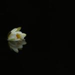 Conversations with Stillness - IV. by Vivek Vaishnavi, exhibited at Aurea Photo Gallery.