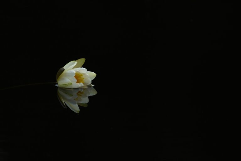 Conversations with Stillness - IV. by Vivek Vaishnavi, exhibited at Aurea Photo Gallery.