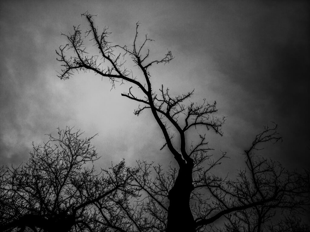 The Last Reach, 2026. by Taeyoung Kang, exhibited at Aurea Photo Gallery.