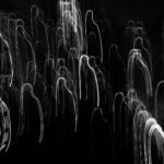 Bella, 2026. by Nash Mithani (NASHMITH), exhibited at Aurea Photo Gallery.