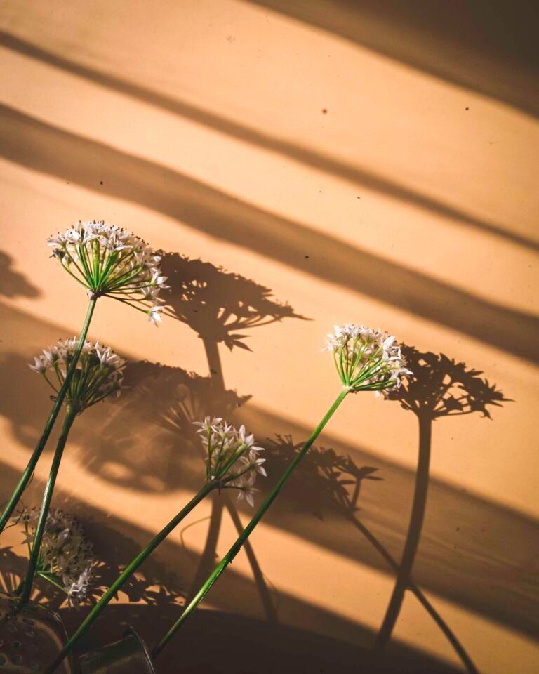 Between the Lines, 2026. by Lydia Argilli, exhibited at Aurea Photo Gallery.