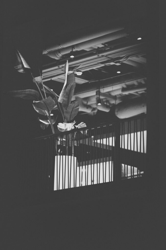 Between Light and Shadow. by Tobbish Holmes, exhibited at Aurea Photo Gallery.