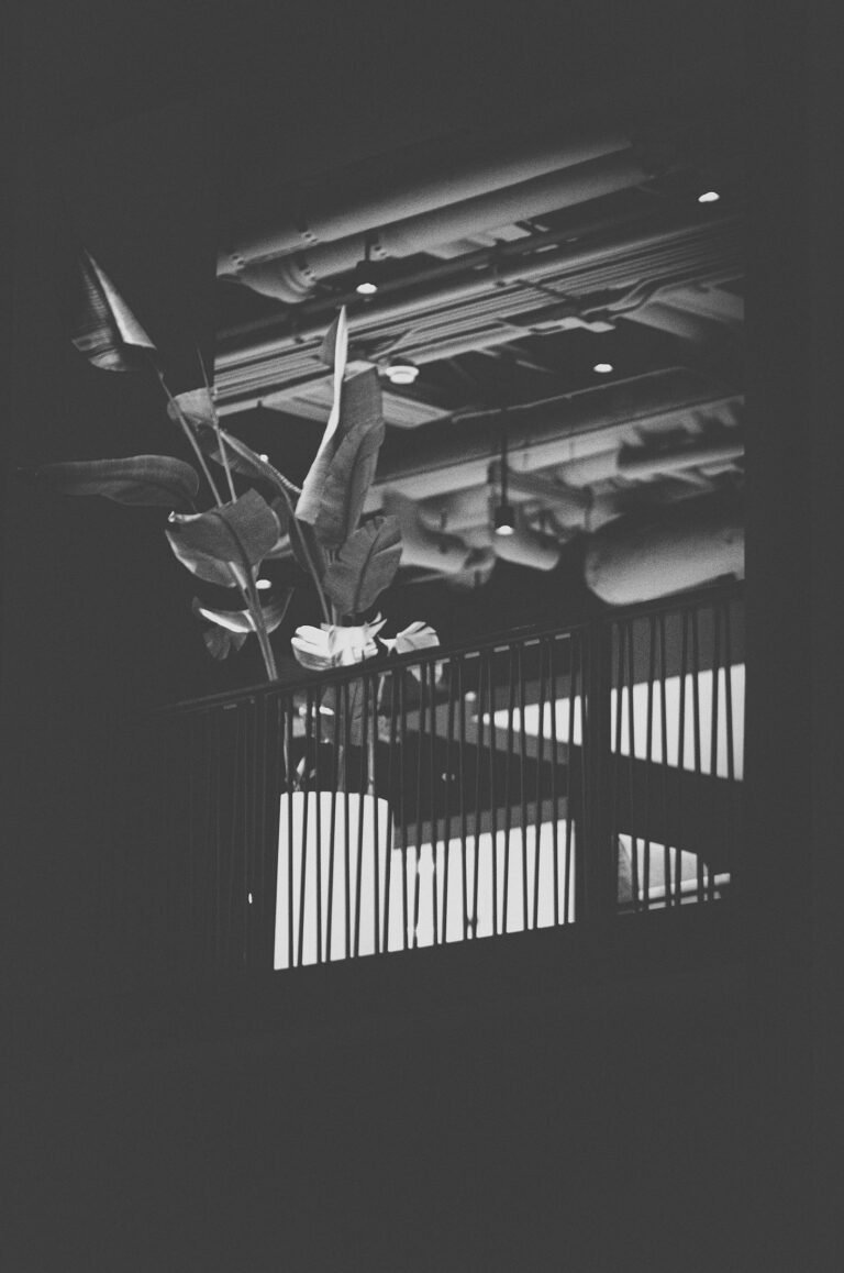 Between Light and Shadow. by Tobbish Holmes, exhibited at Aurea Photo Gallery.