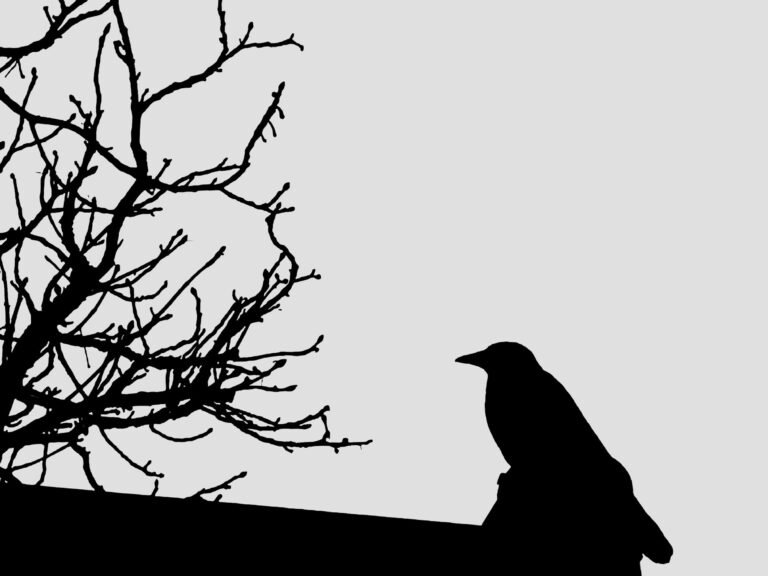 Silhouettes, 2025. by Alisa Kishchenko, exhibited at Aurea Photo Gallery.